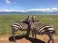 Daytrip to Ngorongoro Crater