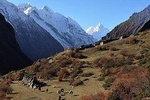 Manaslu Circuit Trek