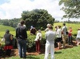 Excursion to Kiambethu Tea Farm