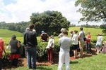 Excursion to Kiambethu Tea Farm