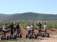 SEGWAY WINE TOUR PENEDÉS: Guided Segway Tour vineyards. Wine Tasting & Lunch