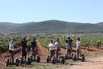 SEGWAY WINE TOUR PENEDÉS: Guided Segway Tour vineyards. Wine Tasting & Lunch