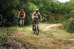 Kathmandu Cycling Tour - 1 Day
