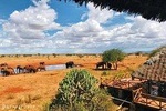 3 Day Tsavo East & Ngutuni