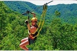 NAIROBI ZIP LINING ADVENTURE EXPERIENCE