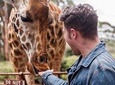 Half Day excursion to David Sheldrick and Giraffe center