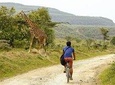 NAIROBI DAY TOUR AND SAFARI TO NAIVASHA