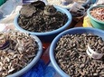 Swakopmund Local Food Township Day Tours