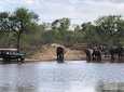 4 Day Budget Kruger National Park Safari