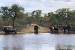 4 Day Budget Kruger National Park Safari