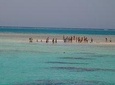 Ras Mohamed by Bus from Sharm elsheikh