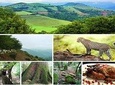 Lankaran & Lerik GROUP Tour