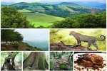 Lankaran & Lerik GROUP Tour