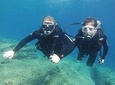 Padi Discover Scuba Diving
