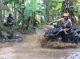 ATV Adventure Snorkeling Blue lagoon Waterfall Tour - Free WiFi on Board