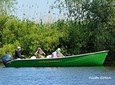 Guided Birdwatching day trip to the Danube Delta - private program