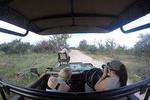6 Day Classic Kruger National Park Safari
