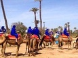 Camel Ride and Quad Bike in Palmeraie