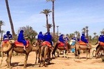 Camel Ride and Quad Bike in Palmeraie