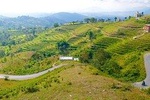 Local Hiking Near The Kathmandu( Chisapani Nagarkot )