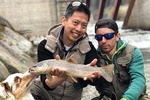 Fly Fishing For Marble And Brown Trouts In Italian Alps