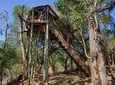 3 Day Treehouse Kruger National Park Safari