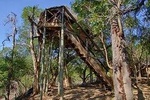 3 Day Treehouse Kruger National Park Safari