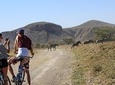 SAFARI DAY TRIP AND EXCURSION AT NAIVASHA