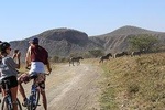 SAFARI DAY TRIP AND EXCURSION AT NAIVASHA