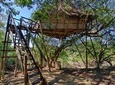 6 Day Lodge and Treehouse Kruger National Park Safari