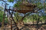 6 Day Lodge and Treehouse Kruger National Park Safari