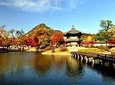 Koreas Favorite Full Day Tour (Seoul City-Nanta Show)