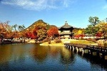 Koreas Favorite Full Day Tour (Seoul City-Nanta Show)