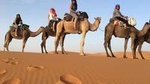 4 Day Sahara Desert Trip From Marrakech: Marrakesh - Sahara Desert - Marrakesh