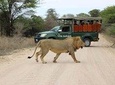 5 Day Classic Kruger National Park Safari