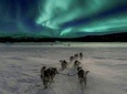Hunting Northern Lights with Husky