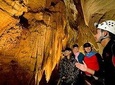 Private chauffeured Tour of Waitomo Caves
