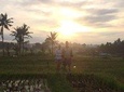 Ubud Eco Culture Cycling Exploration
