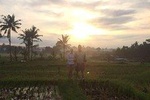 Ubud Eco Culture Cycling Exploration