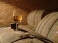 Wine Tasting Tour to Wine Making Region