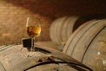 Wine Tasting Tour to Wine Making Region