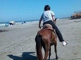Horse Riding in Cartagena