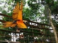 Airport Cataratas IGU Pick-Up & Iguassu Falls Brazilian Side & Bird Park 