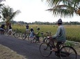 Kaba-Kaba Reasons for Harmony Cycling Tour