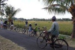 Kaba-Kaba Reasons for Harmony Cycling Tour
