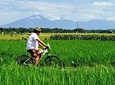 Electric bicycle tour in quaint South Ubud