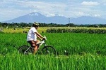 Electric bicycle tour in quaint South Ubud