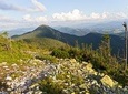 Wild Carpathians: discovering Gorgany (private tour)