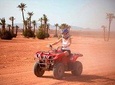 Quad Bike in The Palm Grove