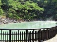 3-Hour Vegetarian Private Walking Tour - Visit Witches Home - Beitou